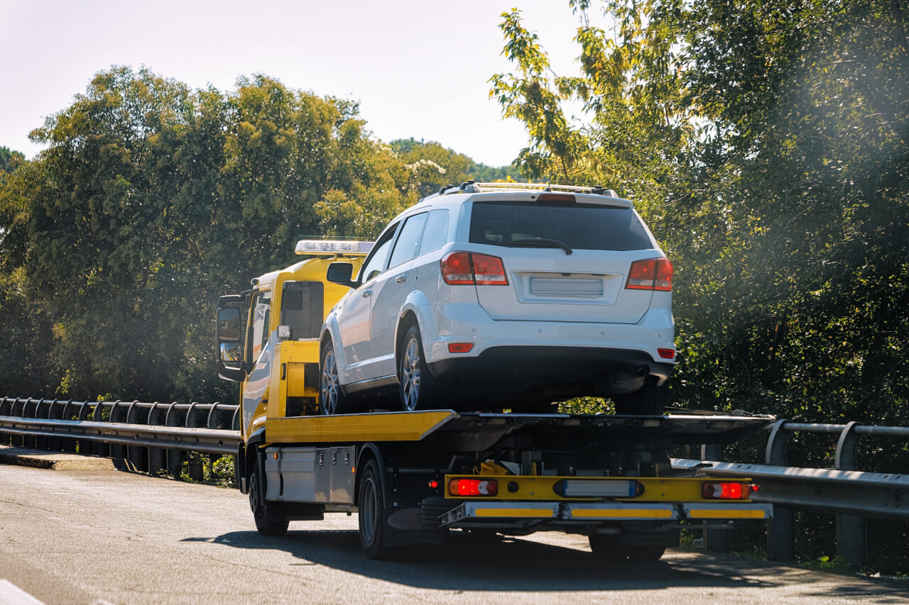 car buyers in in fl